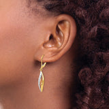 14K Two-tone with White Rhodium Diamond-cut Leverback Earrings